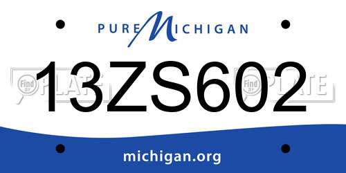 13ZS602 Michigan License Plate