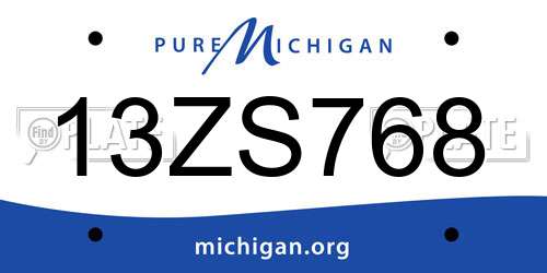 13ZS768 Michigan License Plate
