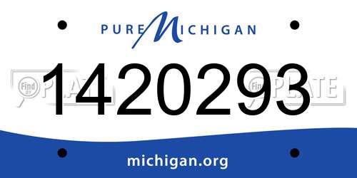 1420293 Michigan License Plate