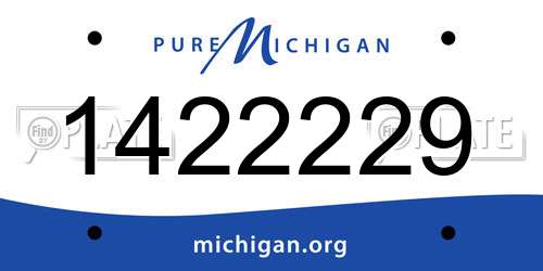 1422229 Michigan License Plate