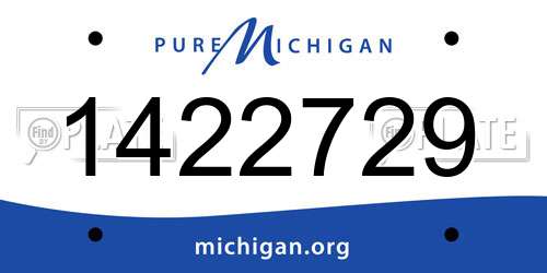 1422729 Michigan License Plate