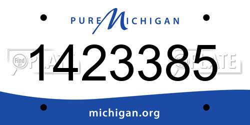 1423385 Michigan License Plate
