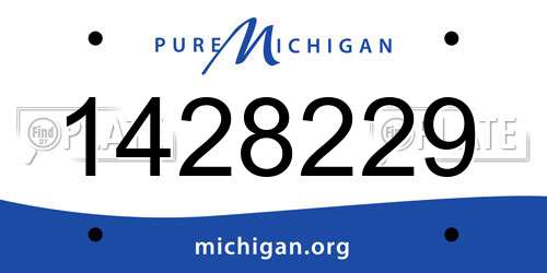 1428229 Michigan License Plate