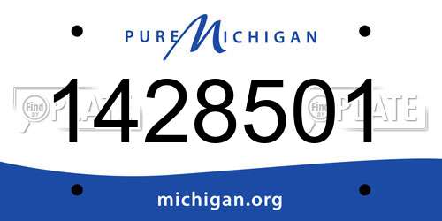 1428501 Michigan License Plate