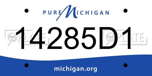 14285D1 Michigan License Plate