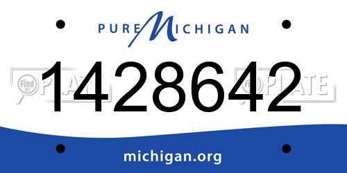 1428642 Michigan License Plate