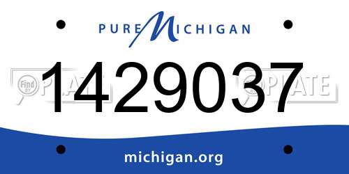 1429037 Michigan License Plate