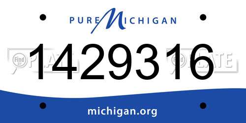 1429316 Michigan License Plate
