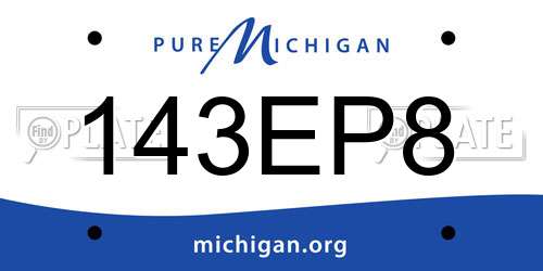 143EP8 Michigan License Plate