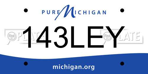 143LEY Michigan License Plate