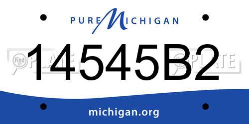 14545B2 Michigan License Plate