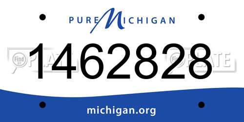 1462828 Michigan License Plate