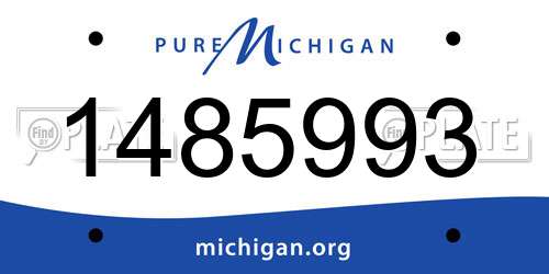 1485993 Michigan License Plate