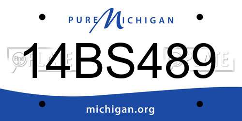 14BS489 Michigan License Plate