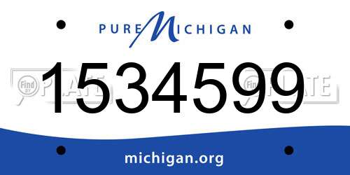 1534599 Michigan License Plate