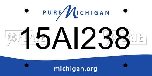 15AI238 Michigan License Plate