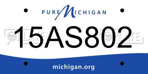 15AS802 Michigan License Plate