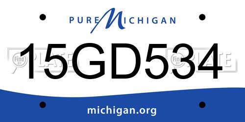 15GD534 Michigan License Plate