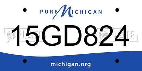 15GD824 Michigan License Plate
