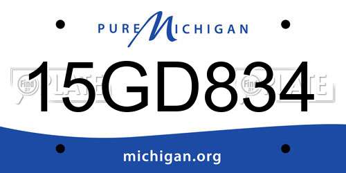 15GD834 Michigan License Plate