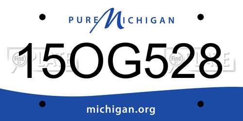 15OG528 Michigan License Plate