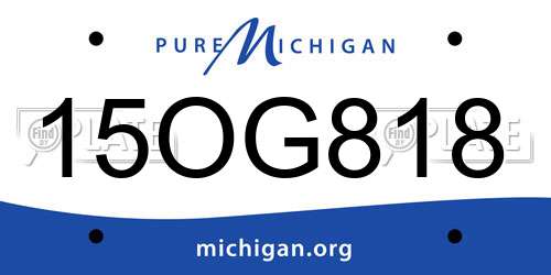 15OG818 Michigan License Plate
