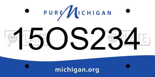 15OS234 Michigan License Plate