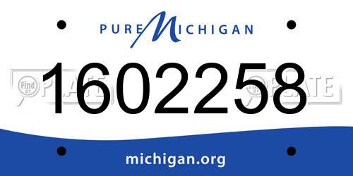 1602258 Michigan License Plate