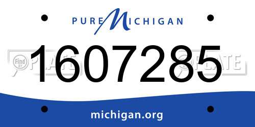 1607285 Michigan License Plate