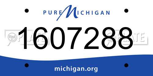 1607288 Michigan License Plate
