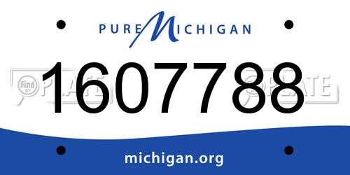 1607788 Michigan License Plate