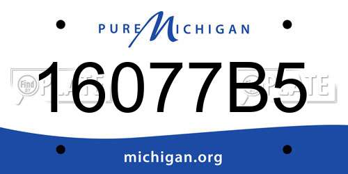 16077B5 Michigan License Plate
