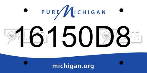 16150D8 Michigan License Plate