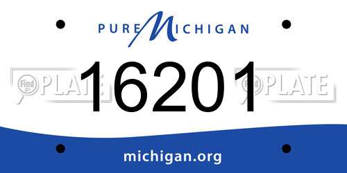 16201 Michigan License Plate