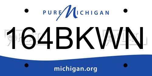 164BKWN Michigan License Plate