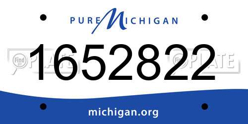 1652822 Michigan License Plate