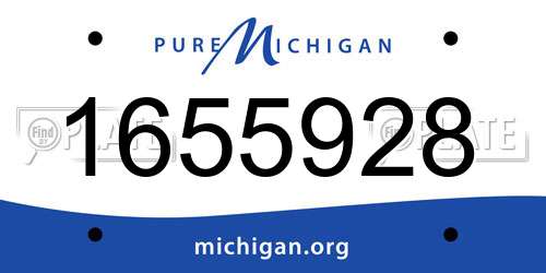 1655928 Michigan License Plate