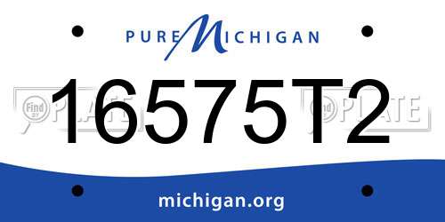 16575T2 Michigan License Plate