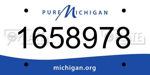 1658978 Michigan License Plate
