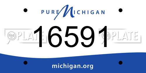 16591 Michigan License Plate