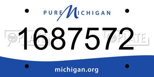 1687572 Michigan License Plate