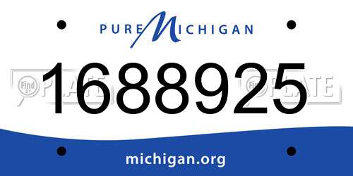 1688925 Michigan License Plate