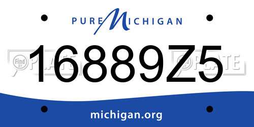 16889Z5 Michigan License Plate