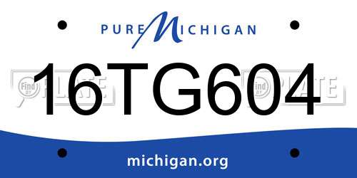 16TG604 Michigan License Plate