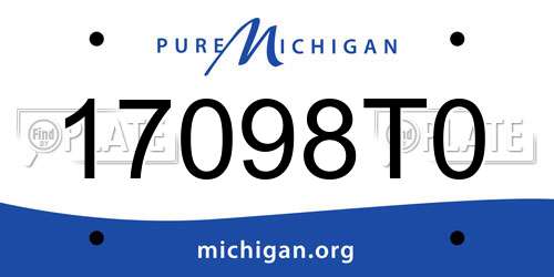 17098T0 Michigan License Plate