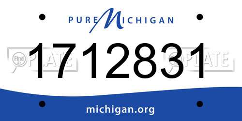 1712831 Michigan License Plate