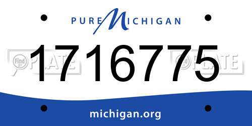 1716775 Michigan License Plate