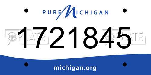 1721845 Michigan License Plate