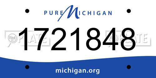1721848 Michigan License Plate