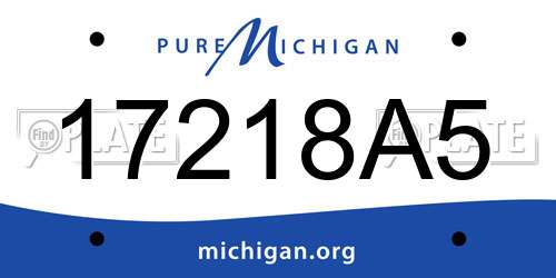 17218A5 Michigan License Plate